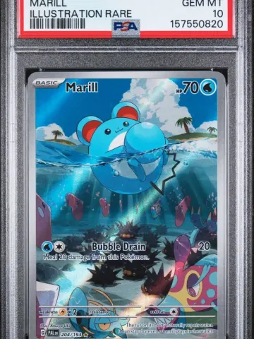 2023 #204 Marill PSA 10 Pal EN-Paldea Evolved, PSA 10