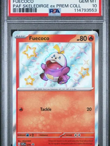 2024 #079 Fuecoco PSA 10 Svp EN-SV Black Star Promo Pokemon, PSA 10